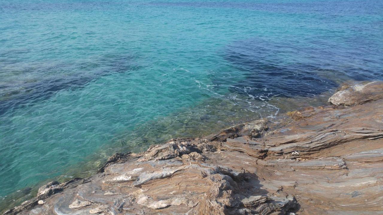 Appartement F3 Luri Εξωτερικό φωτογραφία